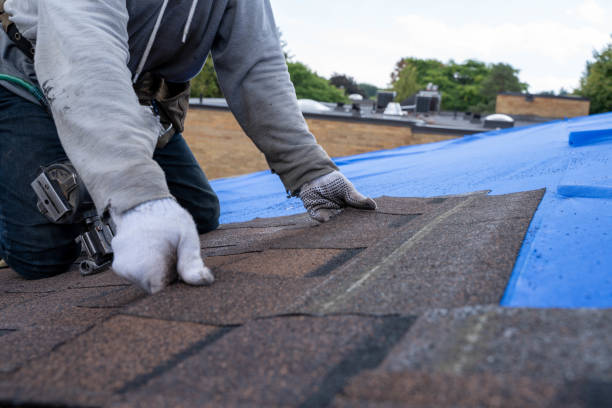 Best Roof Waterproofing Services  in Brewster, OH