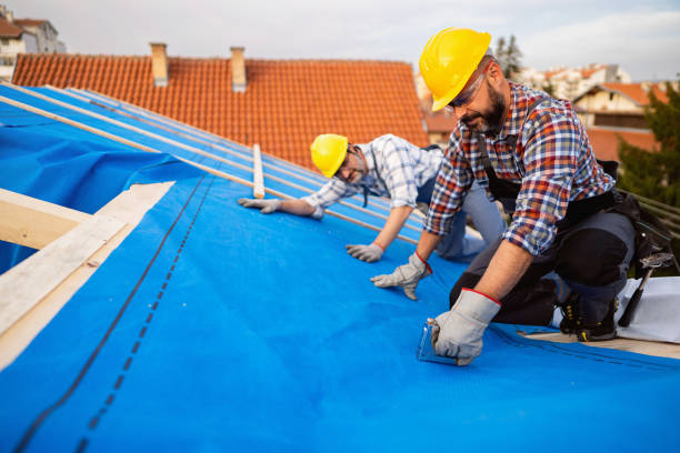 Best Shingle Roofing Installation  in Brewster, OH