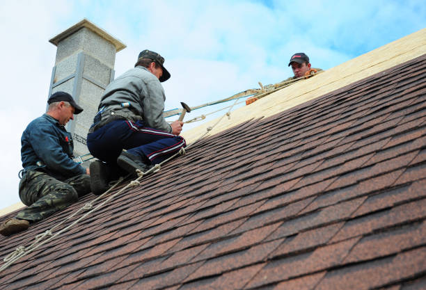 Best Storm Damage Roof Repair  in Brewster, OH